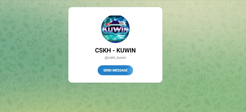 Các kênh liên hệ với Kuwin Vin là gì?