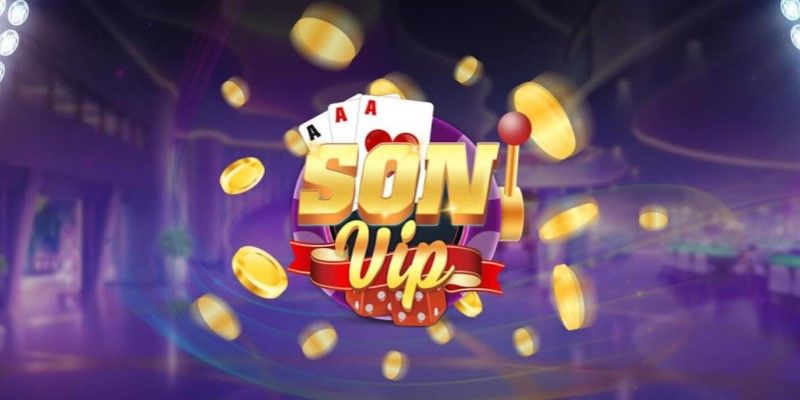 Giới thiệu về SonVip Vin